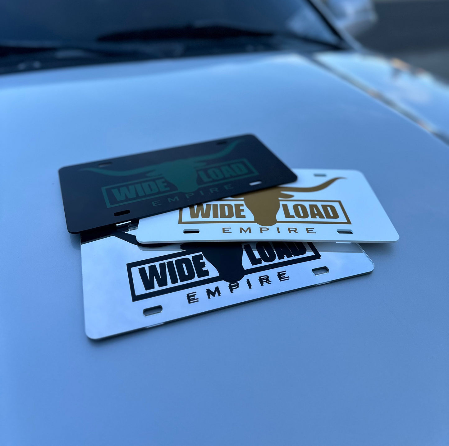 Longhorn License Plate