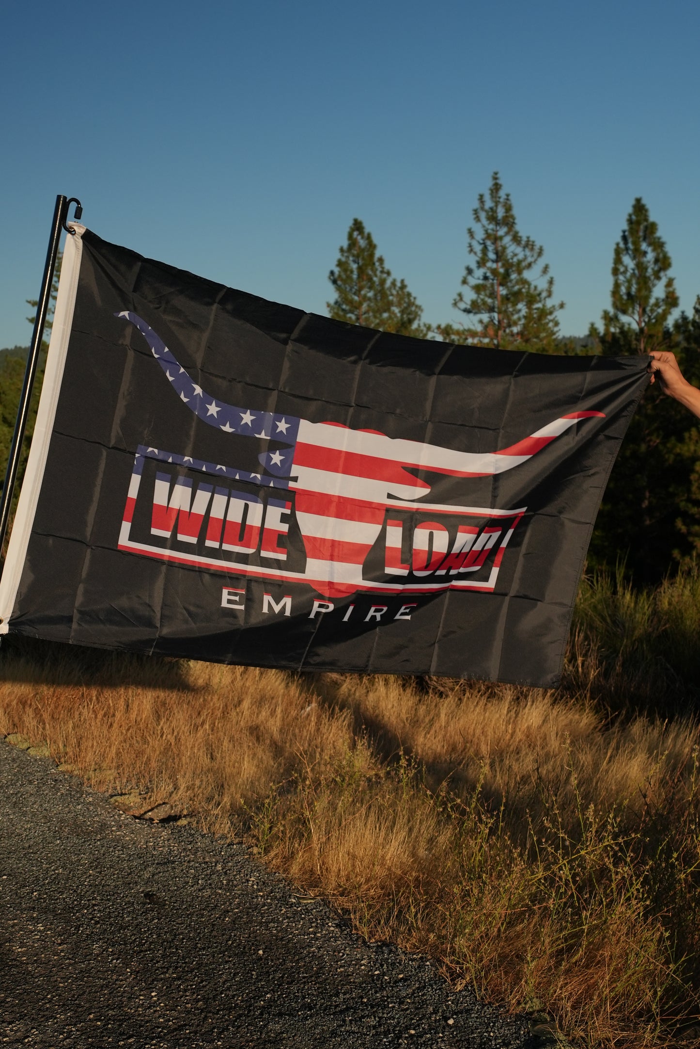 USA Longhorn Flag