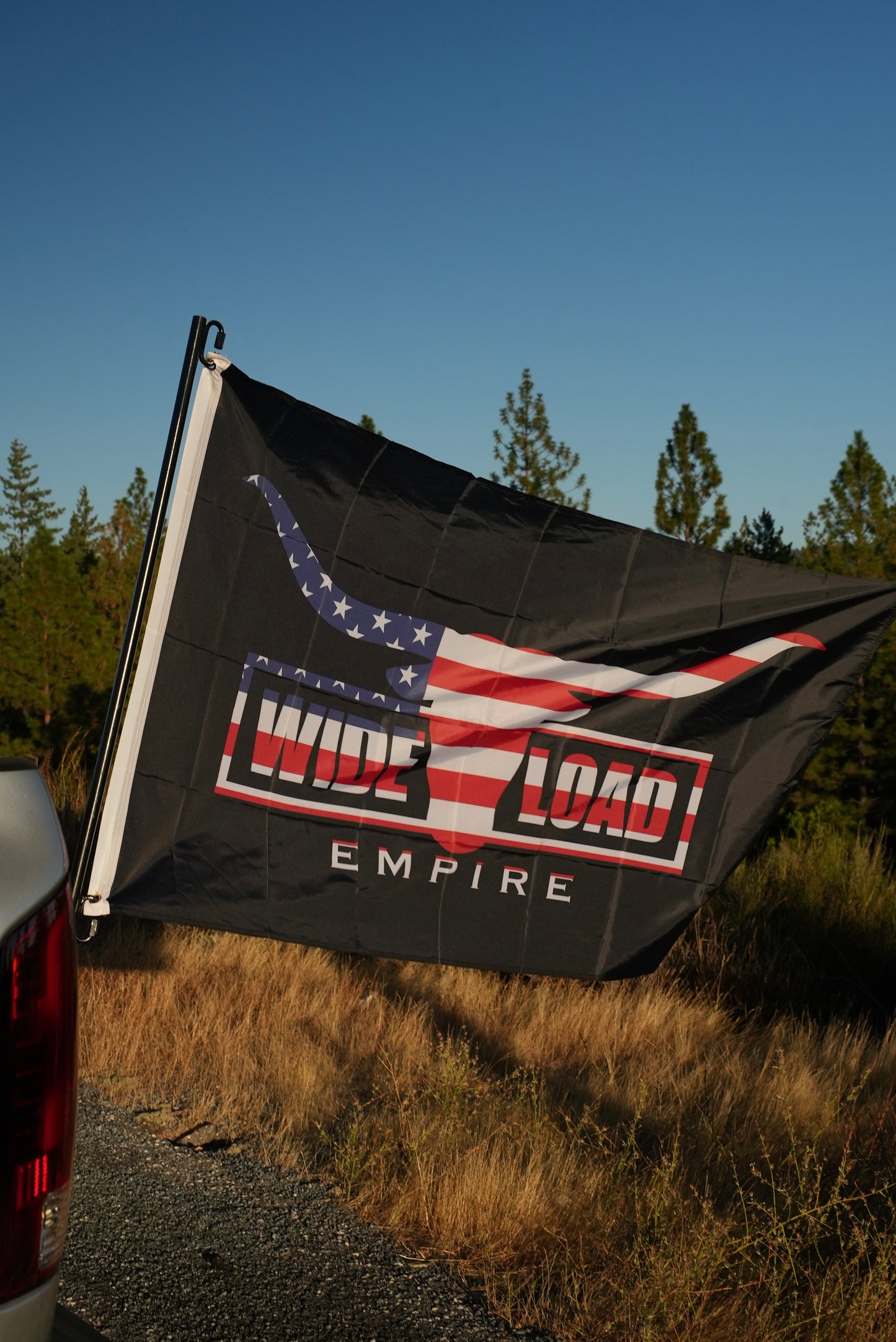 USA Longhorn Flag