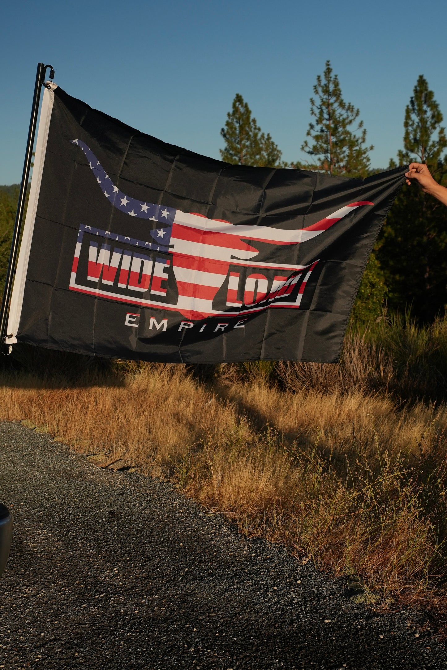 USA Longhorn Flag