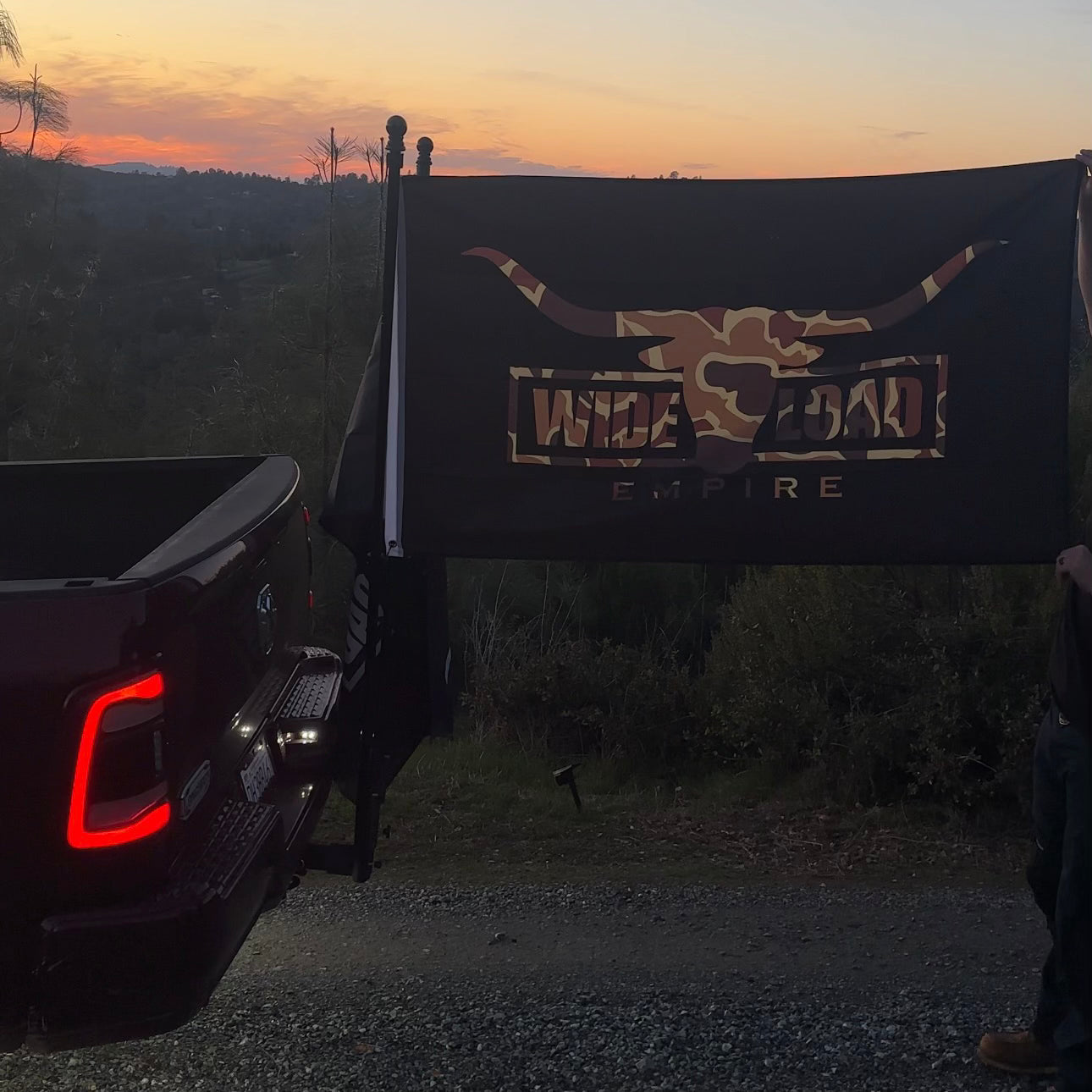 Duck Camo Longhorn Flag