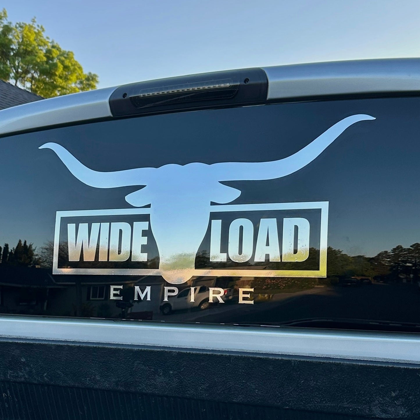 Longhorn Decal