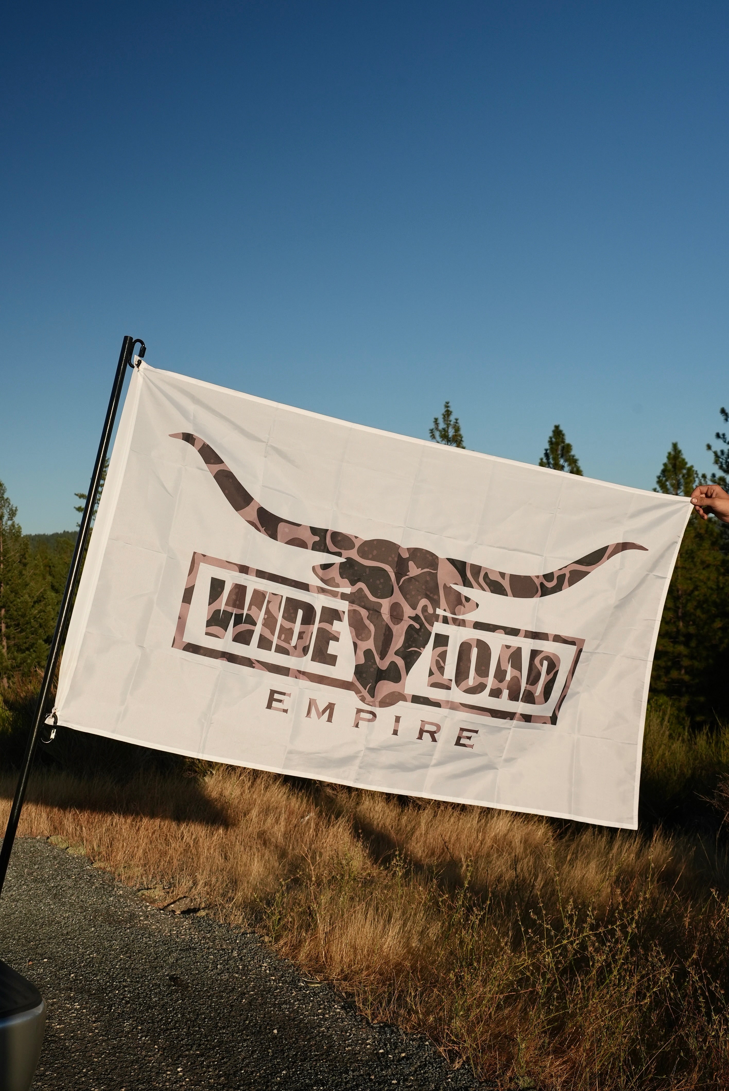 Buckshot Camo Longhorn Flag