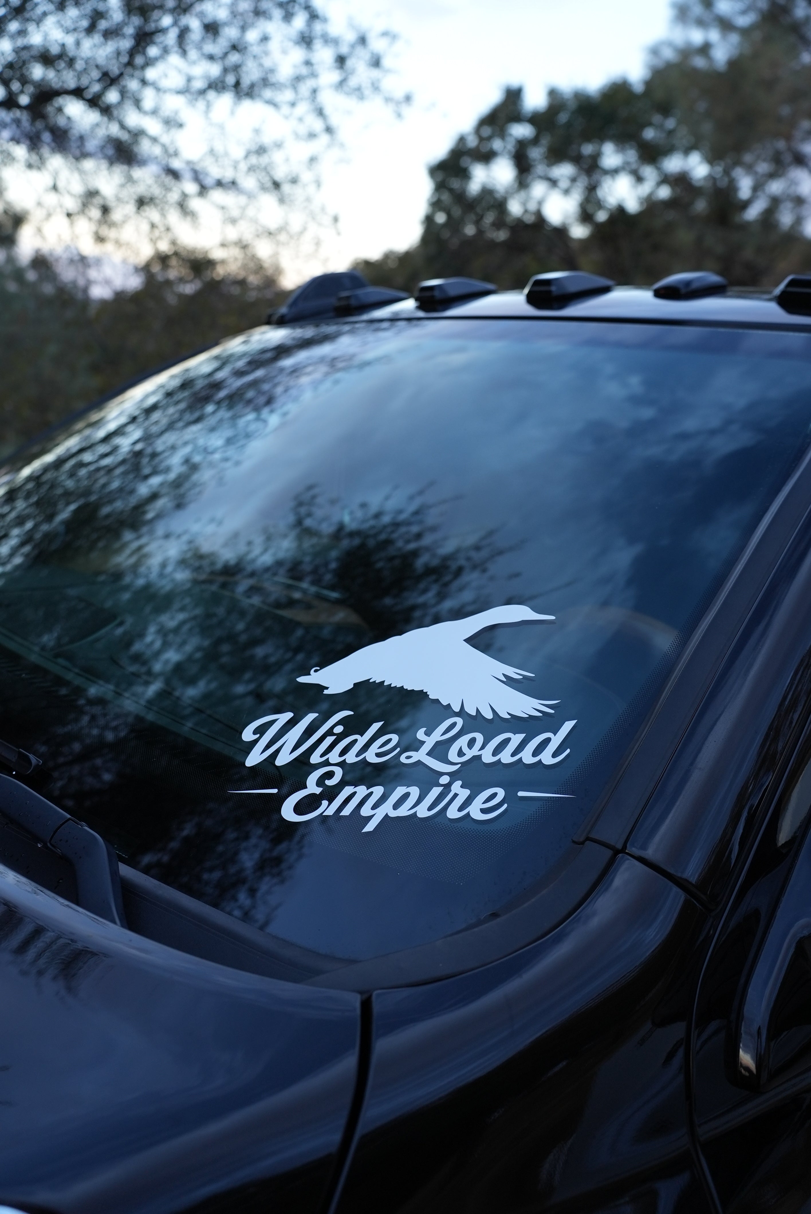 Mallard Decal