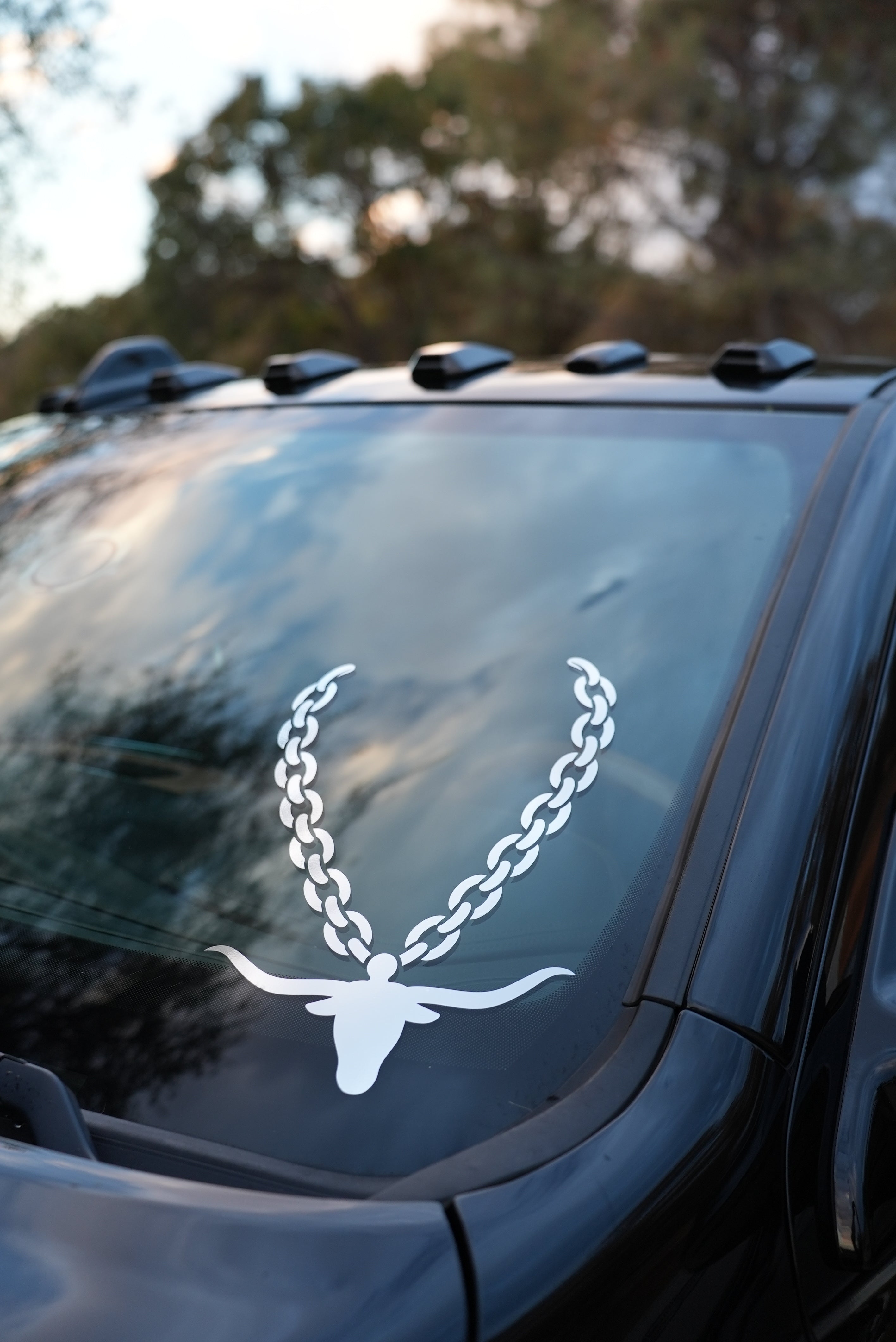 Longhorn Pendant Decal