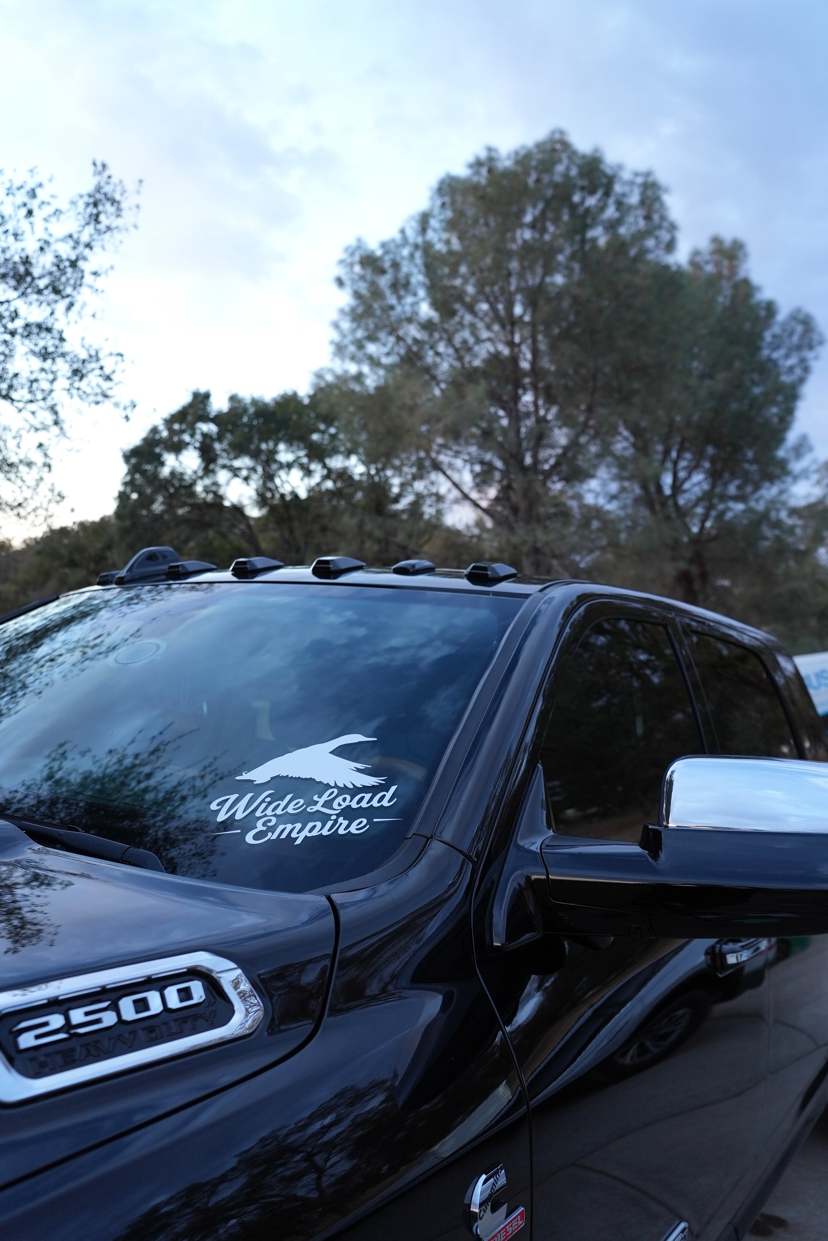 Mallard Decal