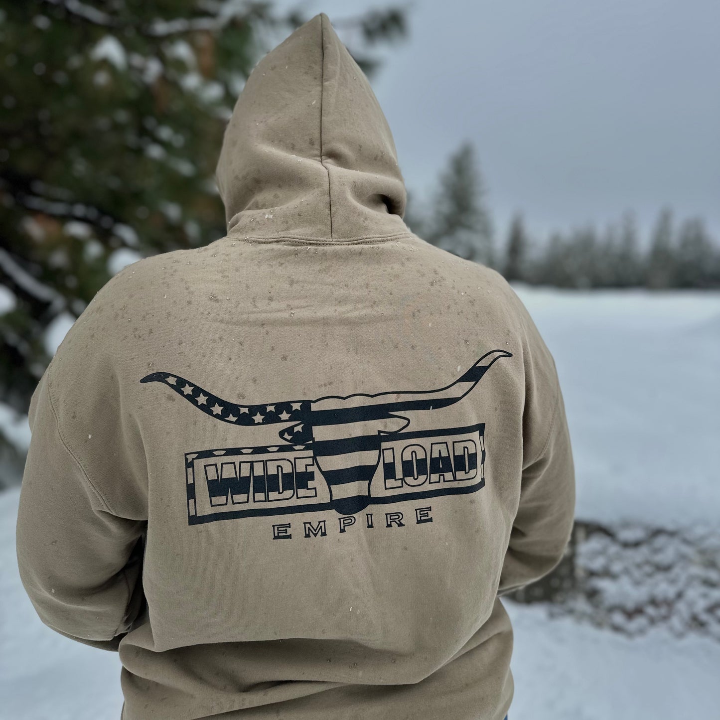 Flag Longhorn Hoodie