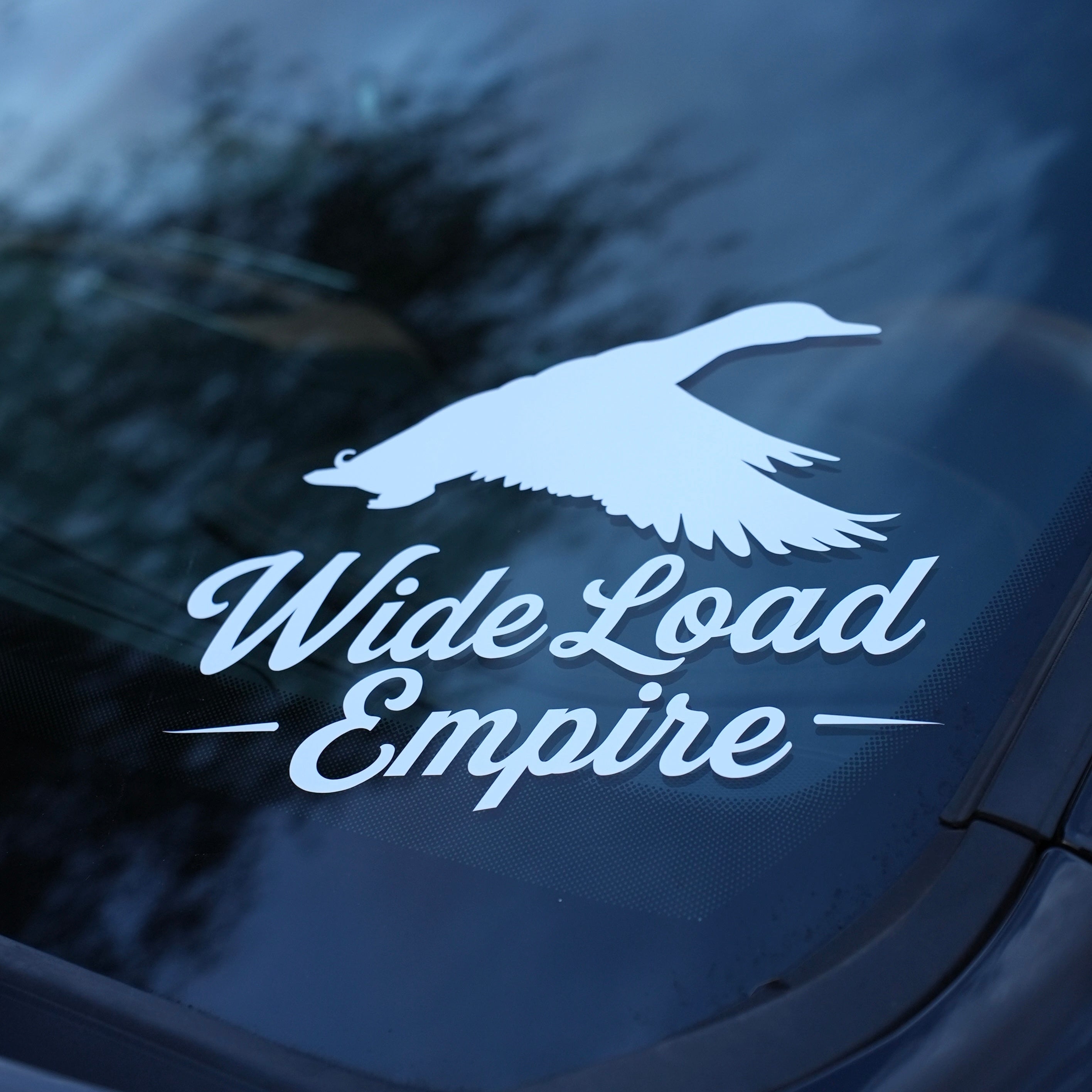 Mallard Decal