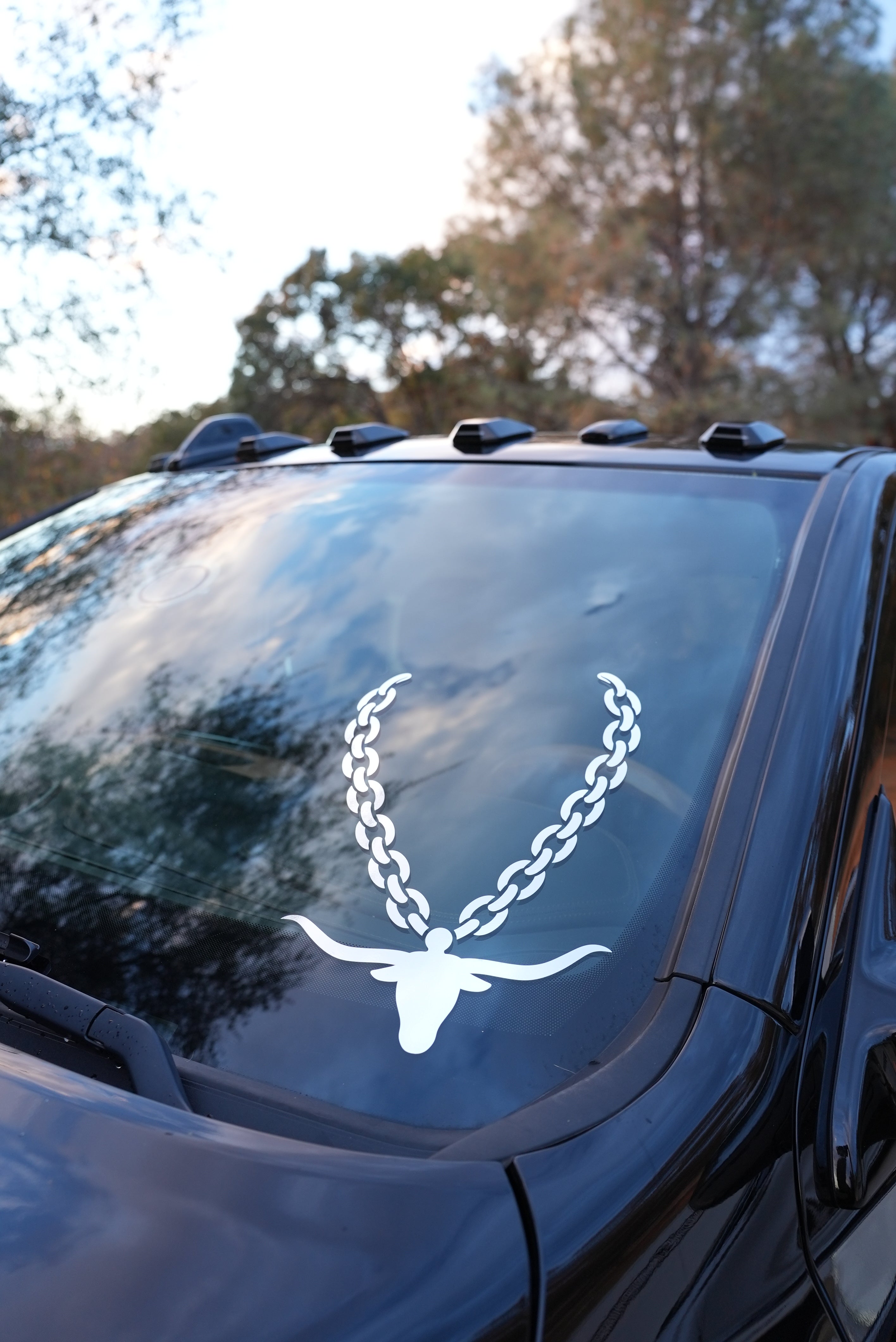 Longhorn Pendant Decal