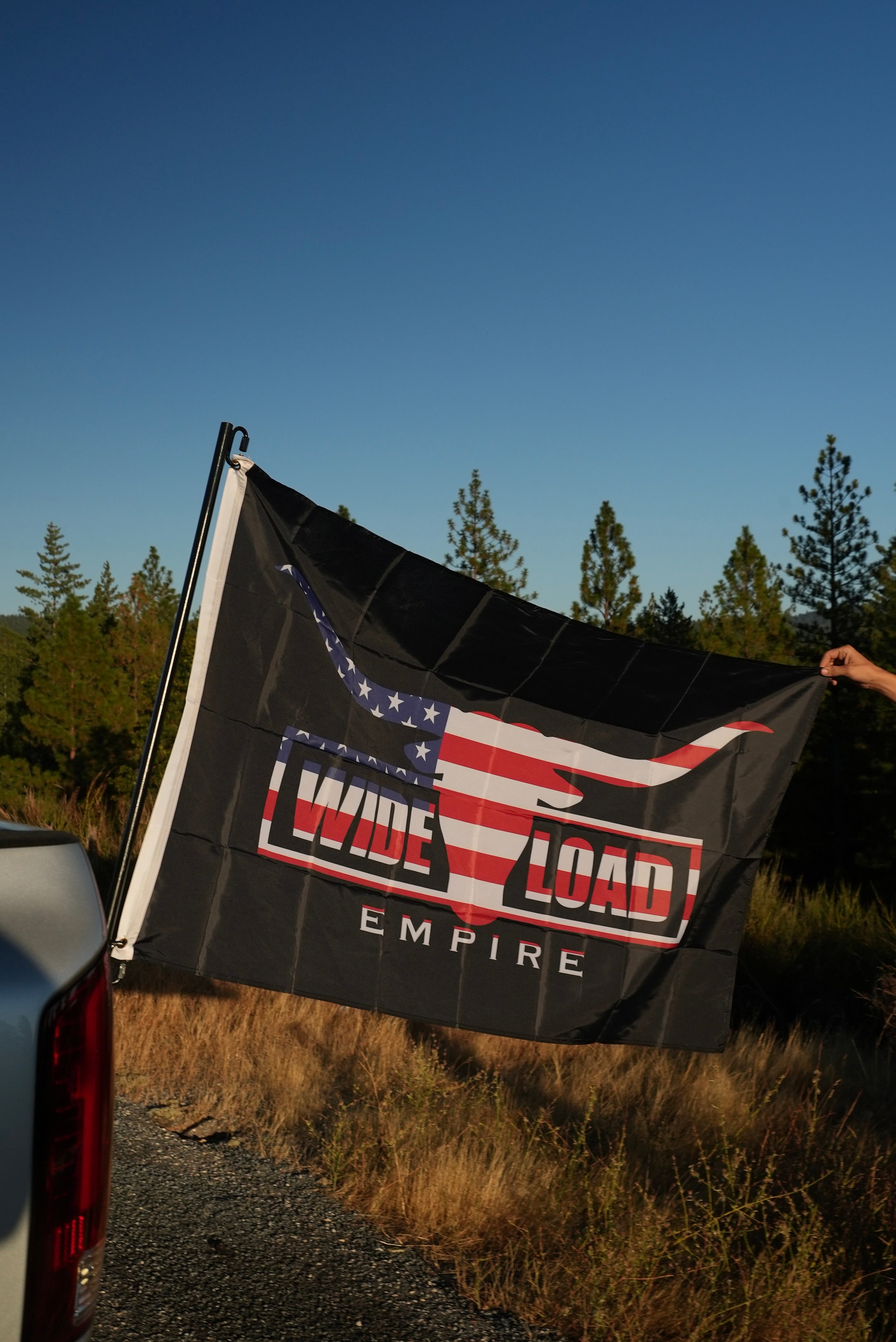 USA Longhorn Flag