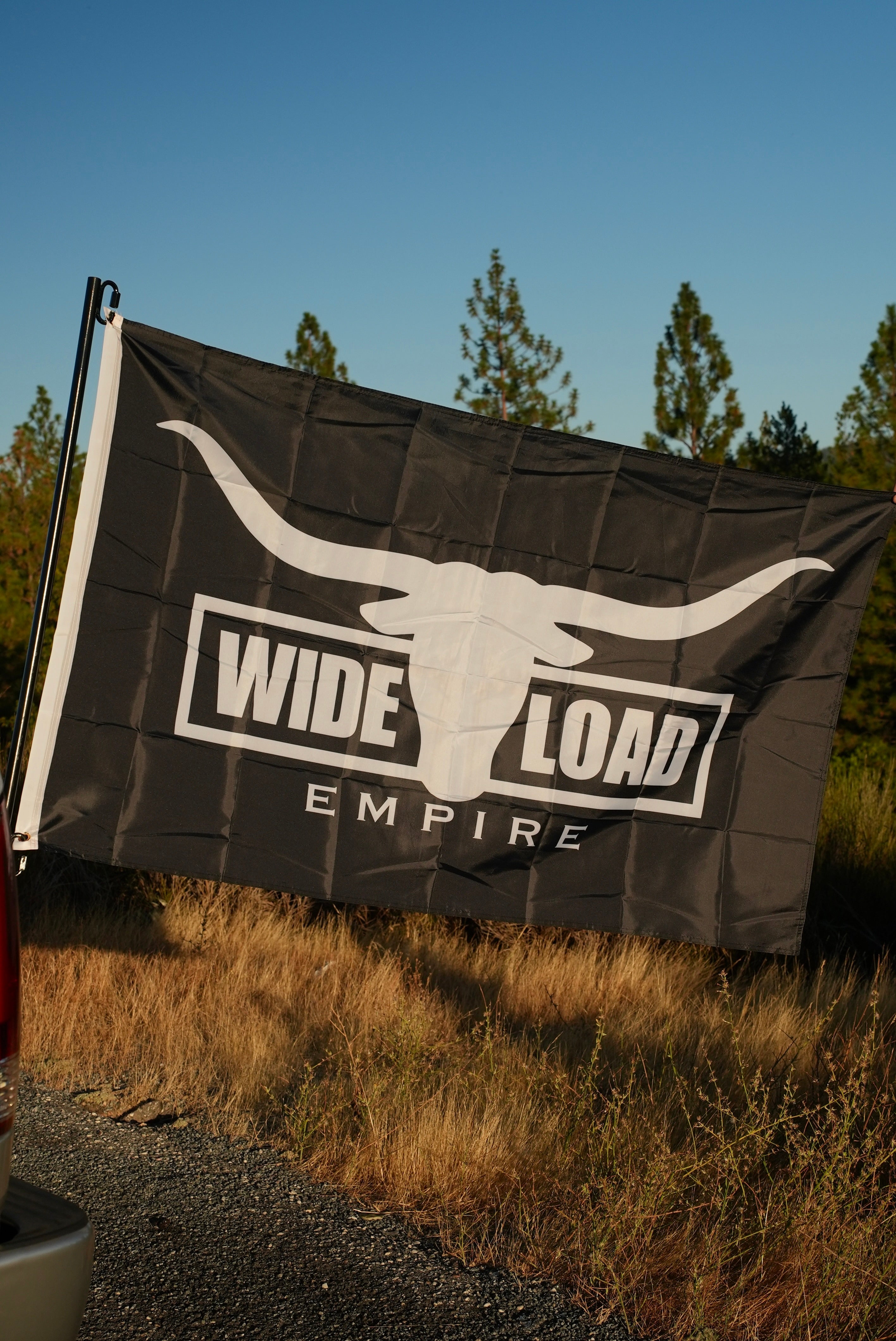 B&W Longhorn Flag