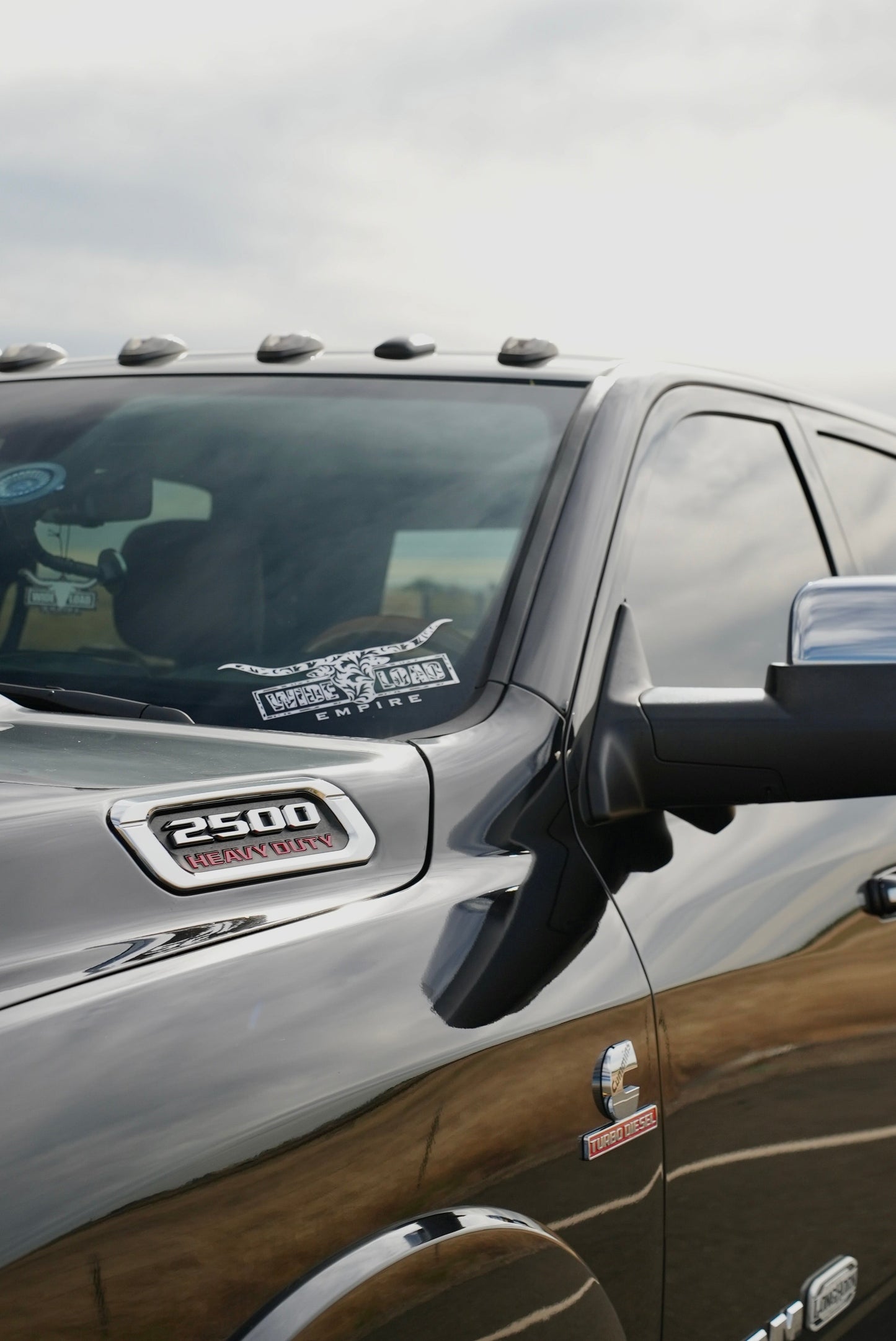 Tooled Longhorn Decal