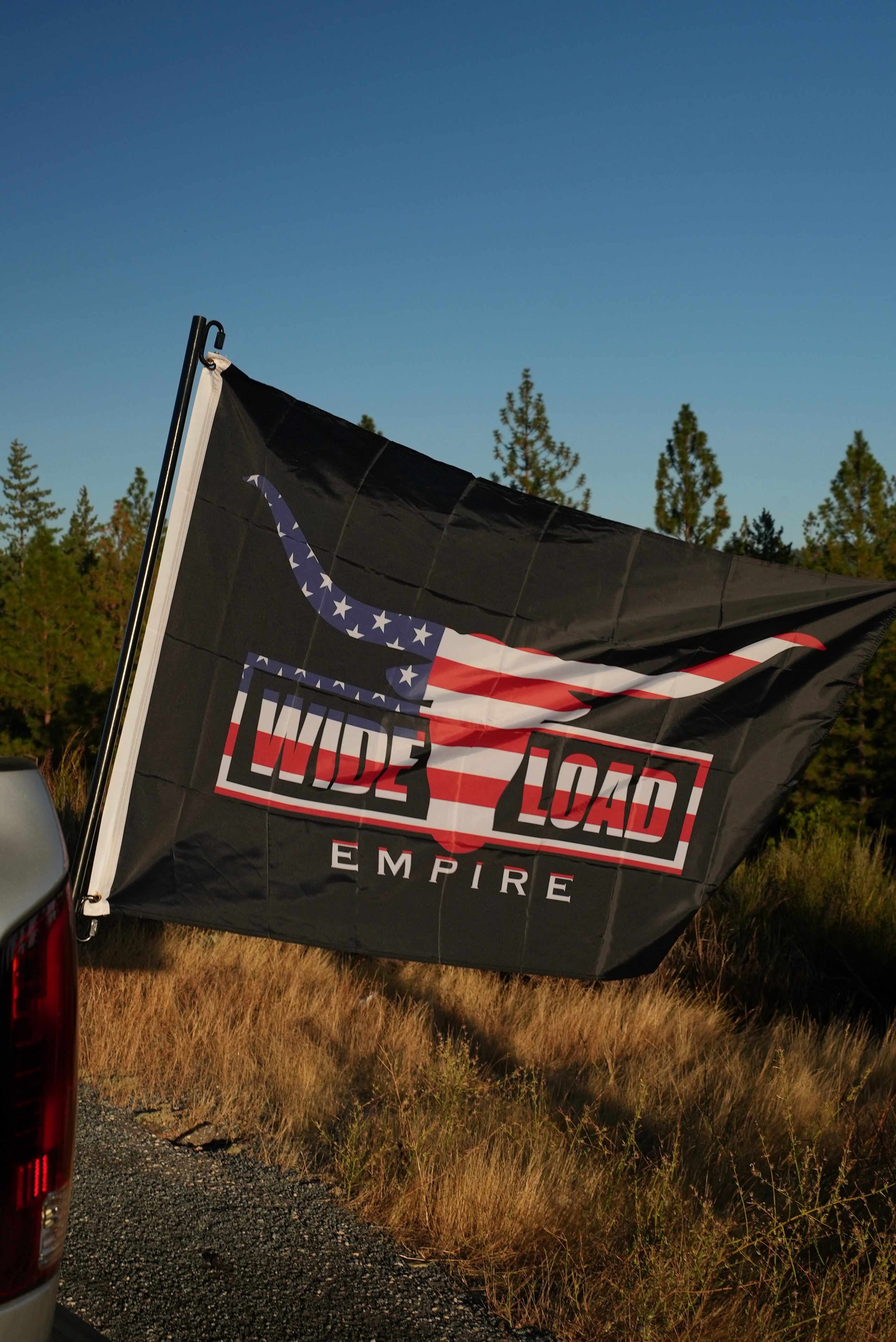 USA Longhorn Flag