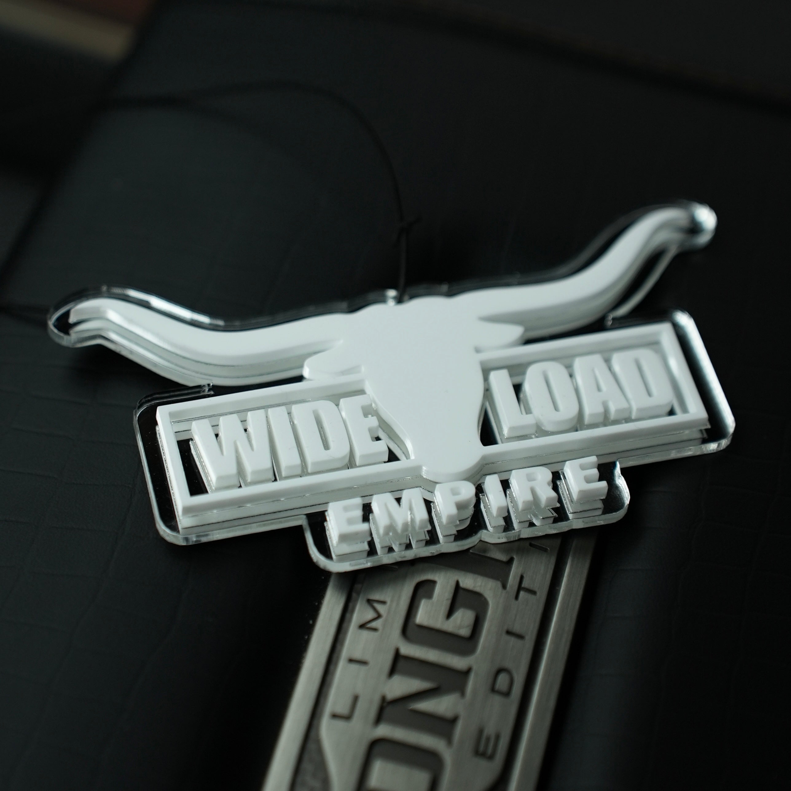 Longhorn Mirror Ornament