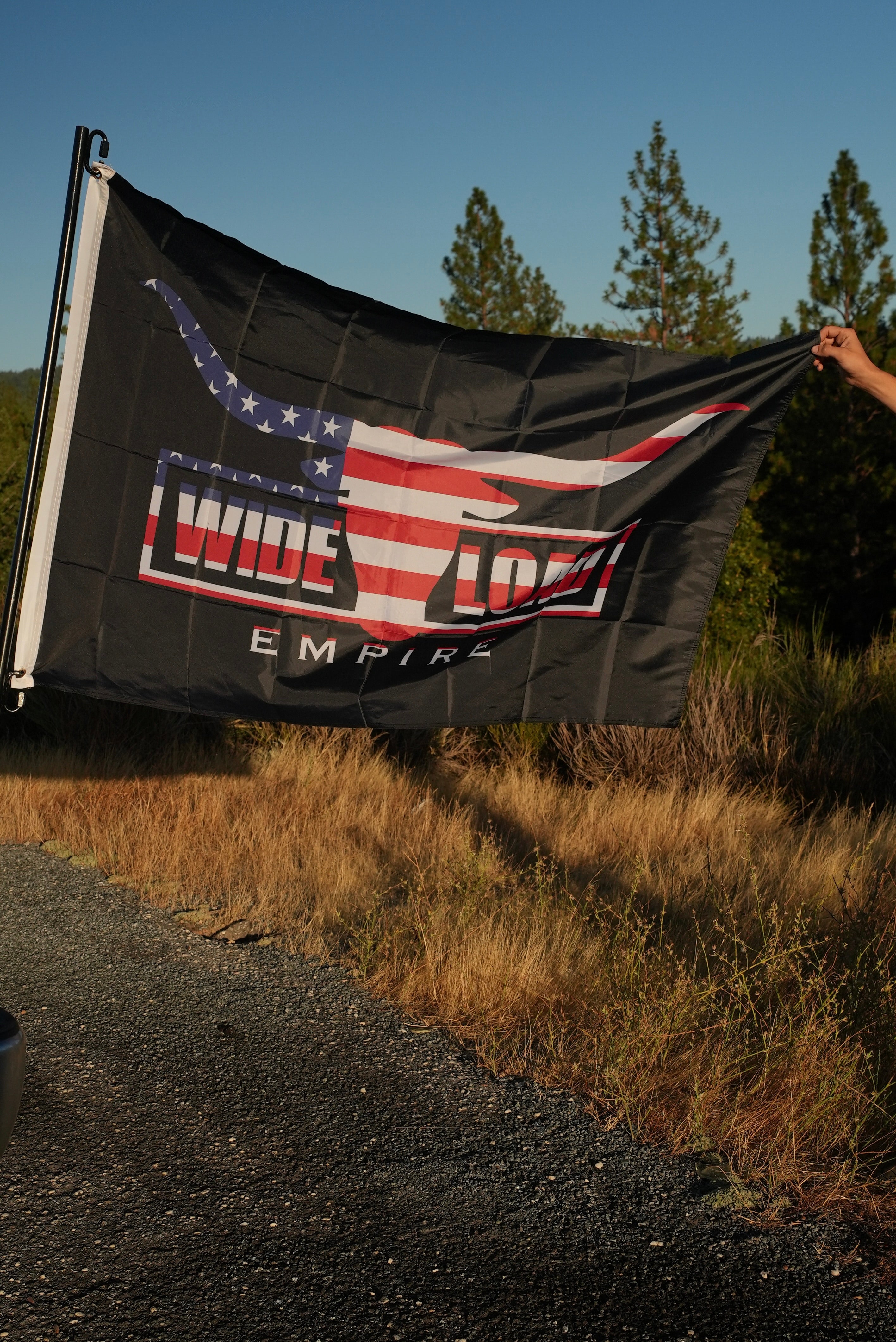 USA Longhorn Flag