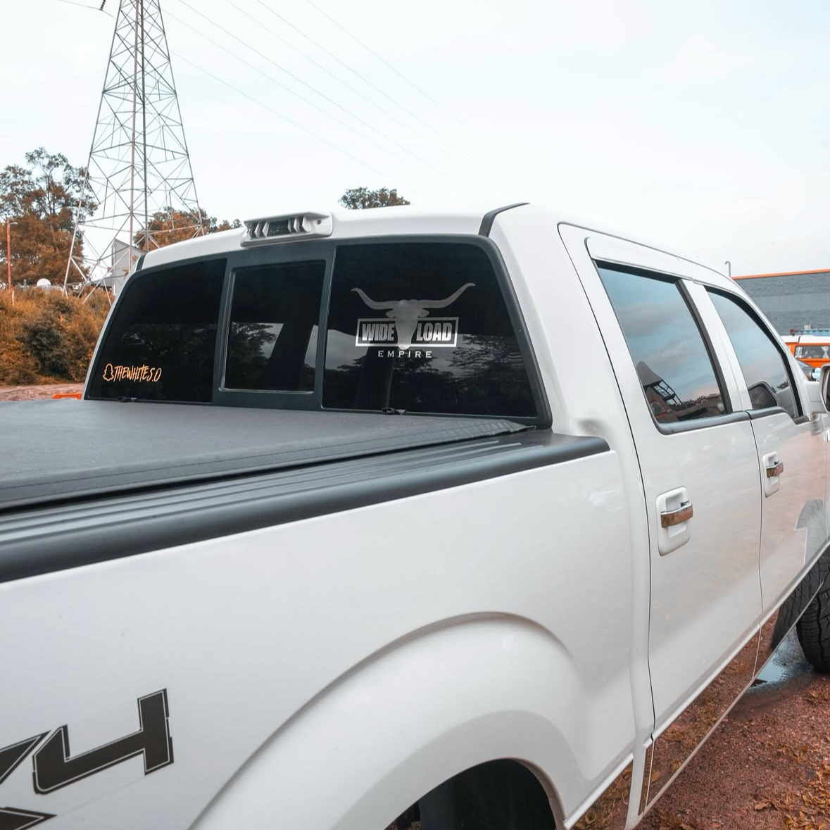 Longhorn Decal